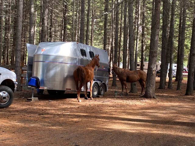 The Dyrt's photo of camping with a horse at Silver Ridge Ranch near Kent, WA