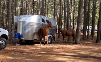 The Dyrt's photo of camping with a horse at Silver Ridge Ranch near Leavenworth, WA