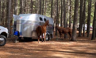 The Dyrt's photo of camping with a horse at Silver Ridge Ranch near Okanogan-Wenatchee National Forest