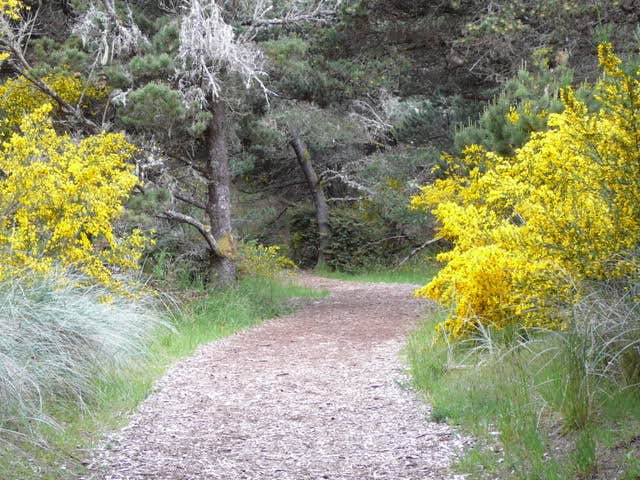 Camper submitted image from Sheridan Bay Park - 5