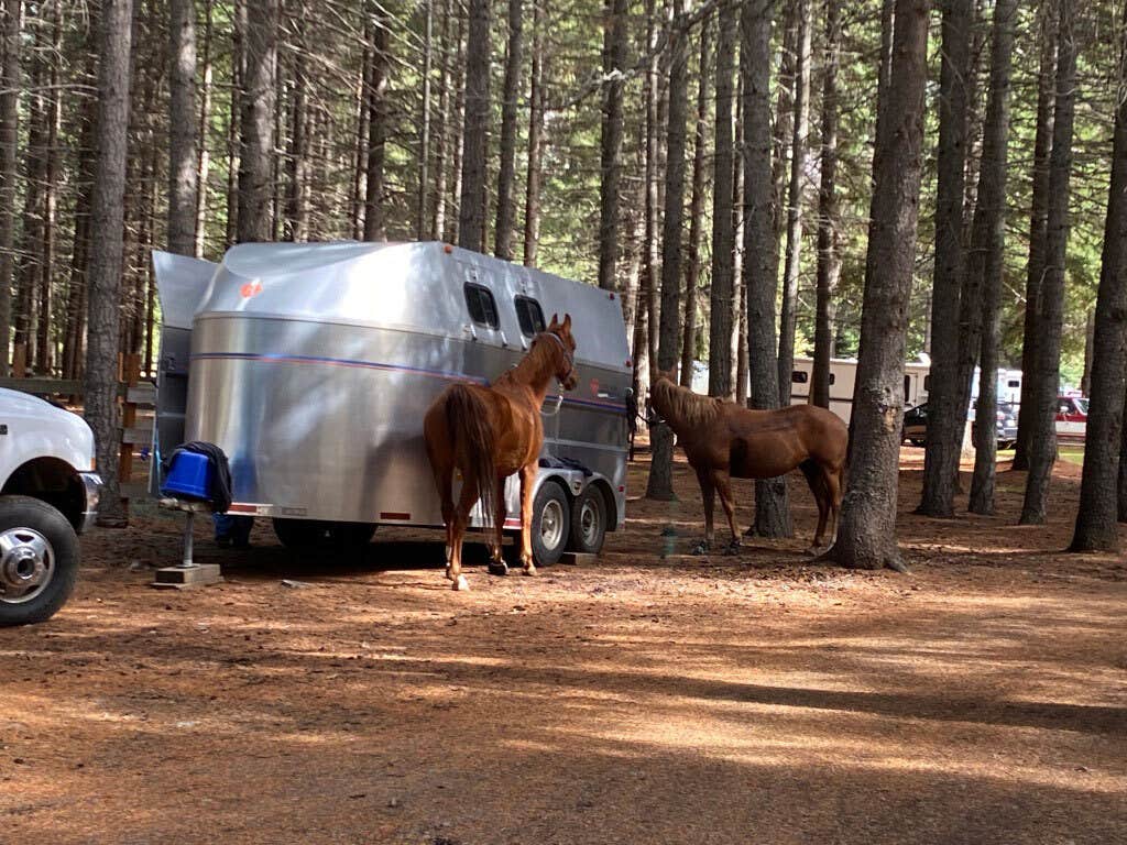 The Dyrt's photo of camping with a horse at Silver Ridge Ranch near Renton, WA