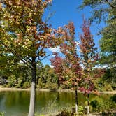 Review photo of Daisy State Park Campground by Susan L., October 11, 2024