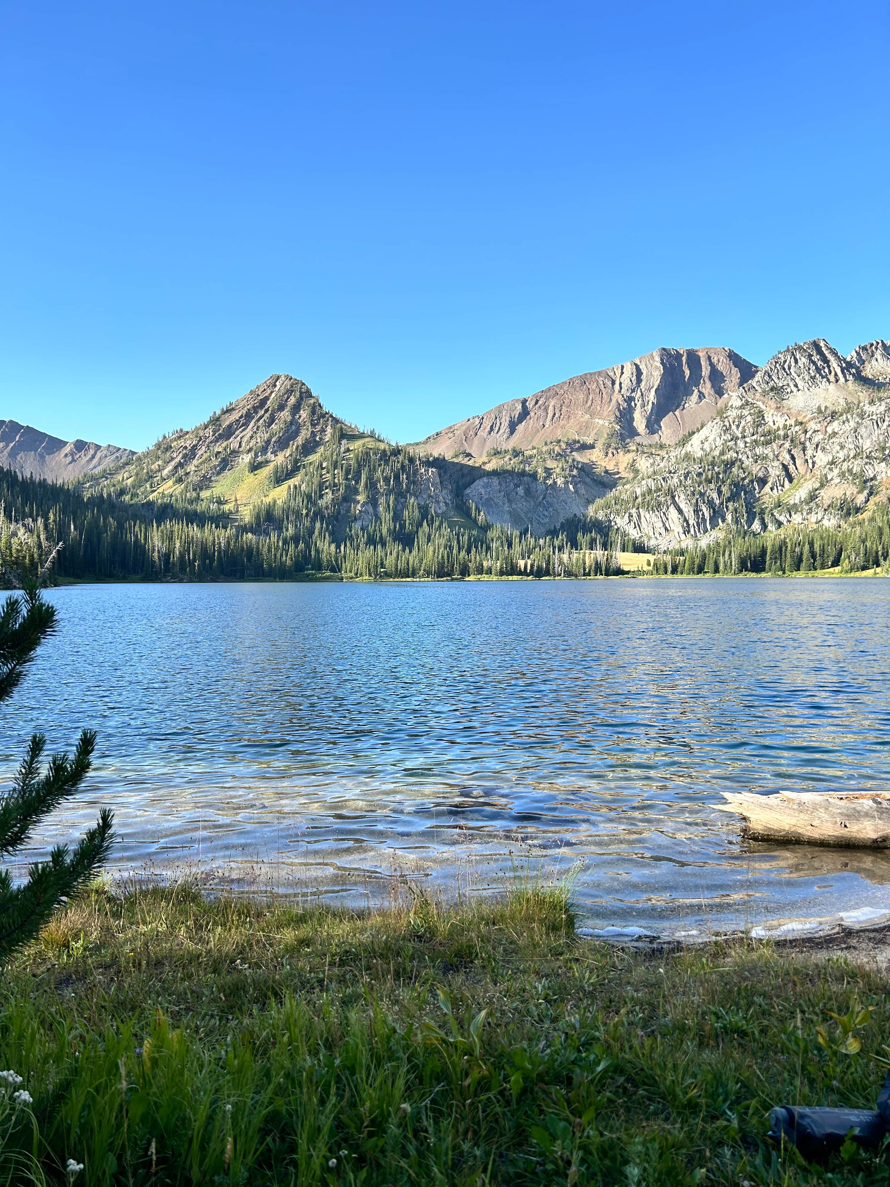 Camper submitted image from Aneroid Lake Backcountry Dispersed Campsite - 1