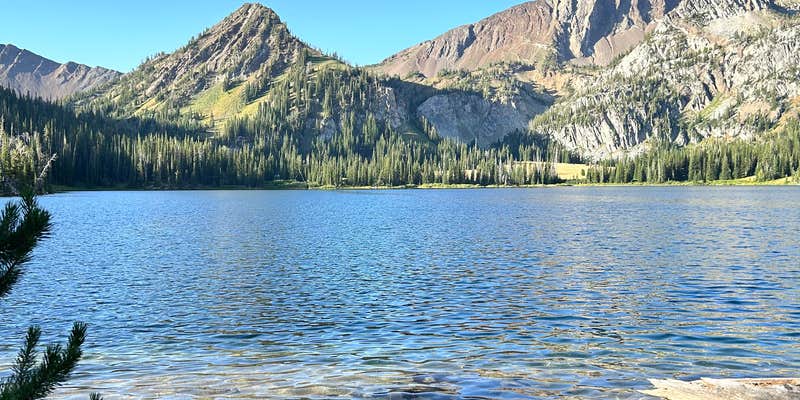 Camper submitted image from Aneroid Lake Backcountry Dispersed Campsite