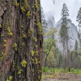 Review photo of North Pines Campground — Yosemite National Park by Shari  G., October 11, 2024