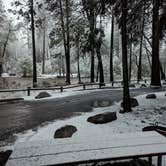 Review photo of North Pines Campground — Yosemite National Park by Shari  G., October 11, 2024