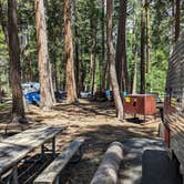 Review photo of North Pines Campground — Yosemite National Park by Shari  G., October 11, 2024