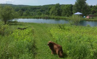 The Dyrt's photo of tent camping at Hillside Pond with a view near Penn Yan, NY
