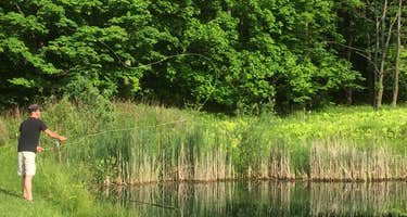 Hillside Pond with a view