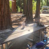 Review photo of Upper Pines Campground — Yosemite National Park by Tony G., October 11, 2024