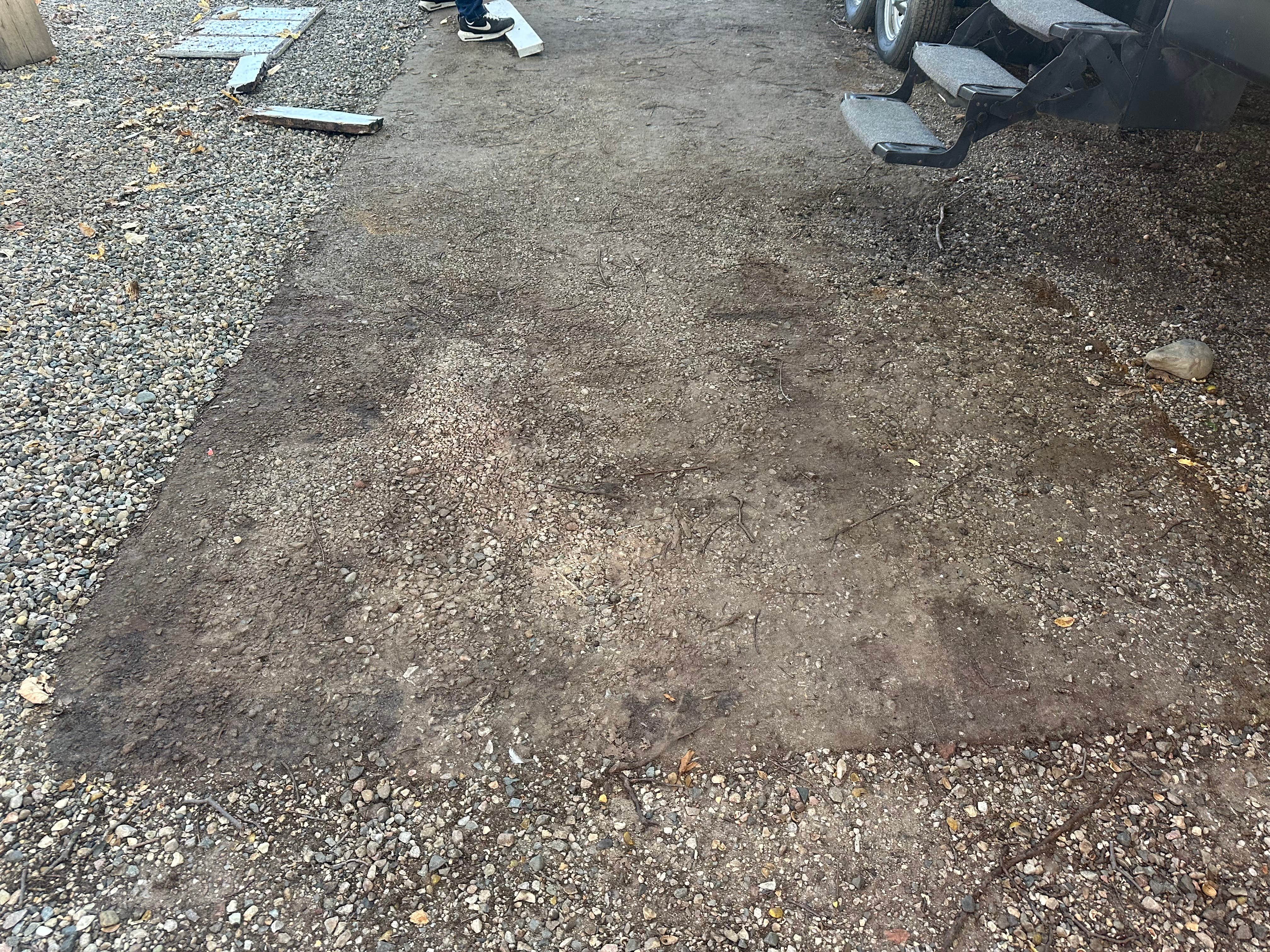 Camper-submitted photo at Way Back In Campground near Concord, MI