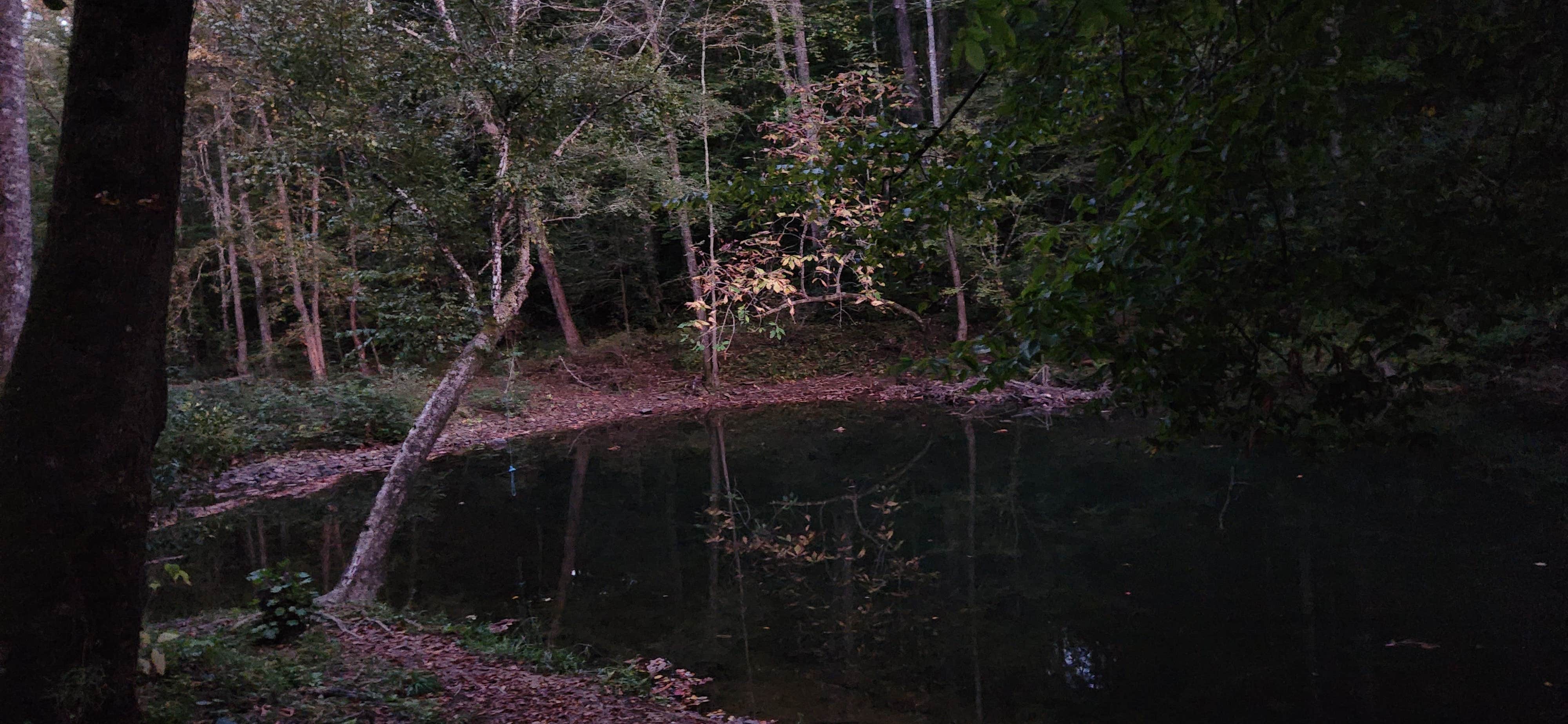 Camper-submitted photo at Jellico Creek Rd Dispersed #1 near Byrdstown, TN