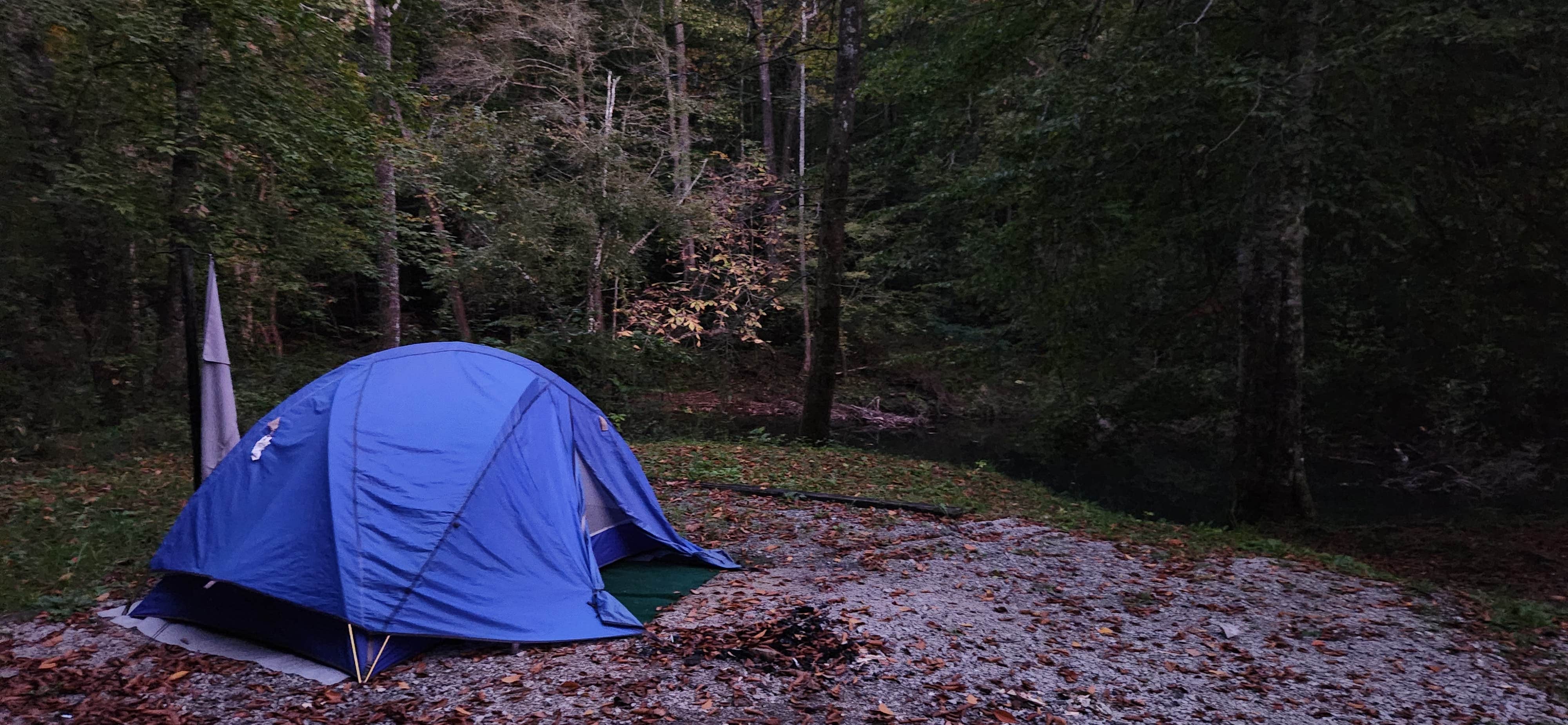 Pam B.'s photo of a dispersed camping area at Jellico Creek Rd Dispersed #1 near Byrdstown, TN