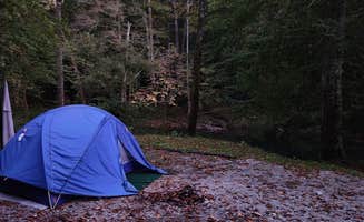 Pam B.'s photo of a dispersed camping area at Jellico Creek Rd Dispersed #1 near Keavy, KY