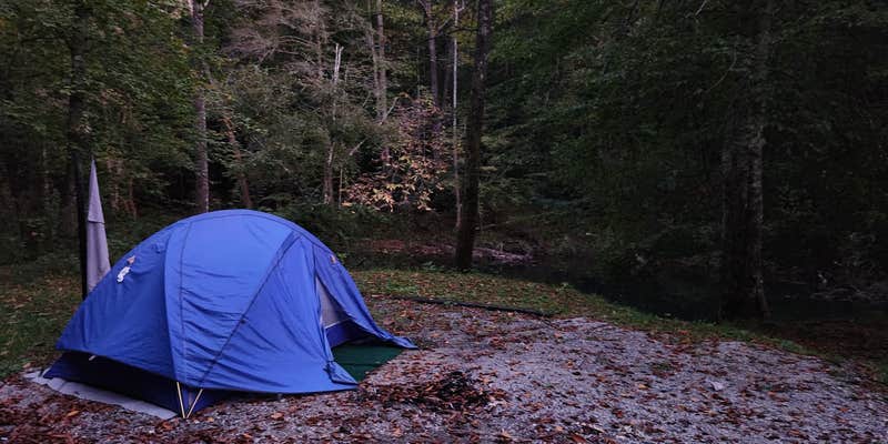 Camper submitted image from Jellico Creek Rd Dispersed #1