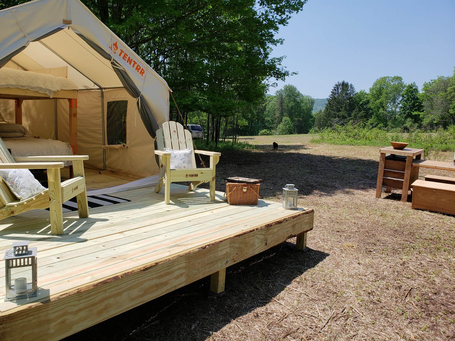 The Dyrt's photo at Brewery Place Meadow near Mount Vision, NY