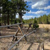 Review photo of West Magnolia Campground by Lori L., October 13, 2024