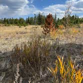 Review photo of West Magnolia Campground by Lori L., October 13, 2024