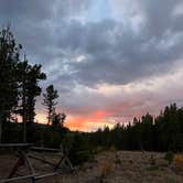 Review photo of West Magnolia Campground by Lori L., October 13, 2024