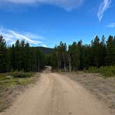 Review photo of West Magnolia Campground by Lori L., October 13, 2024