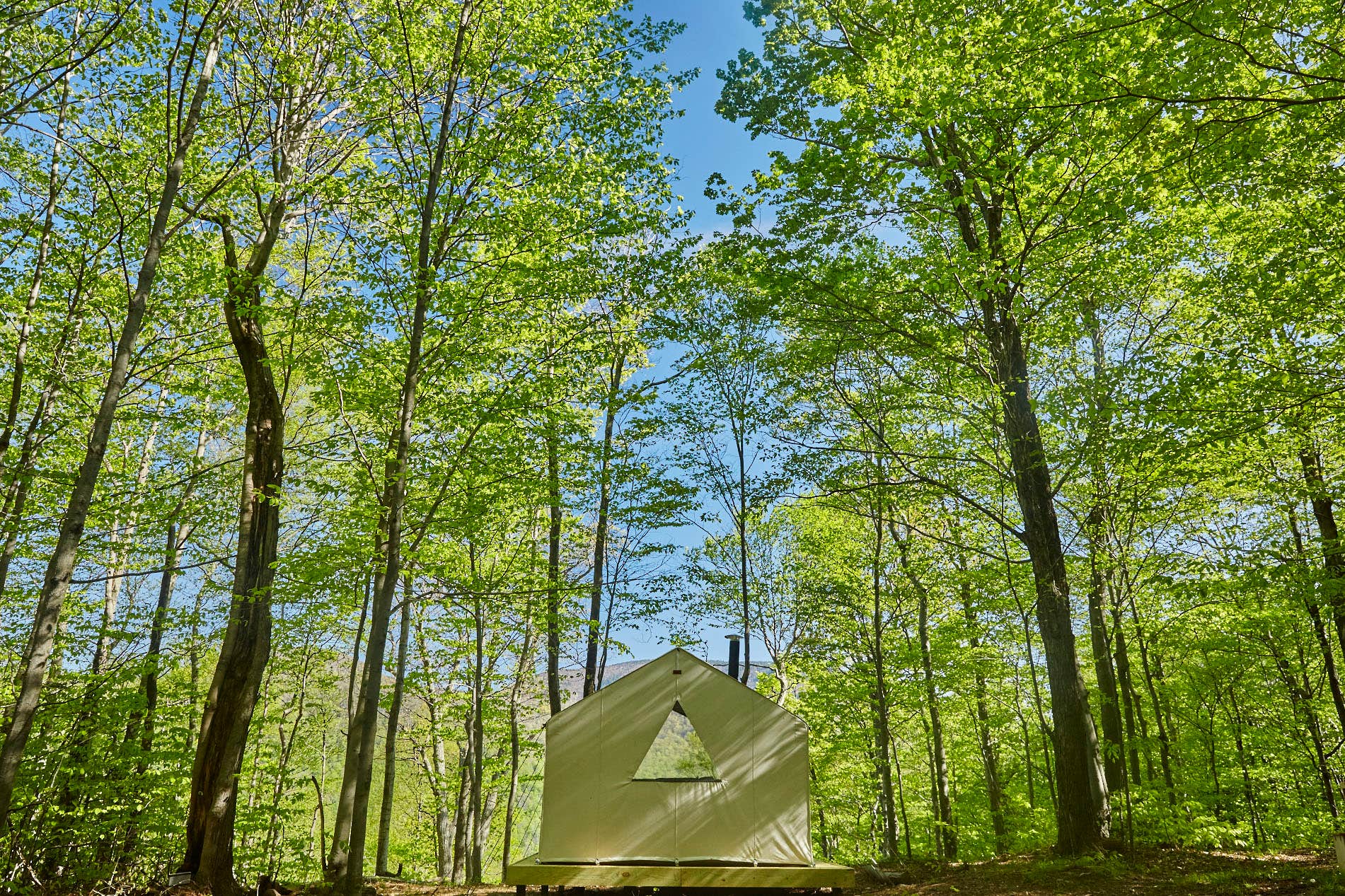 The Dyrt's photo at Shady Knolls near Tannersville, NY