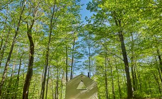 The Dyrt's photo at Shady Knolls near Elka Park, NY