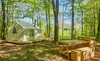 The Dyrt's photo at Shady Knolls near Lake Hill, NY