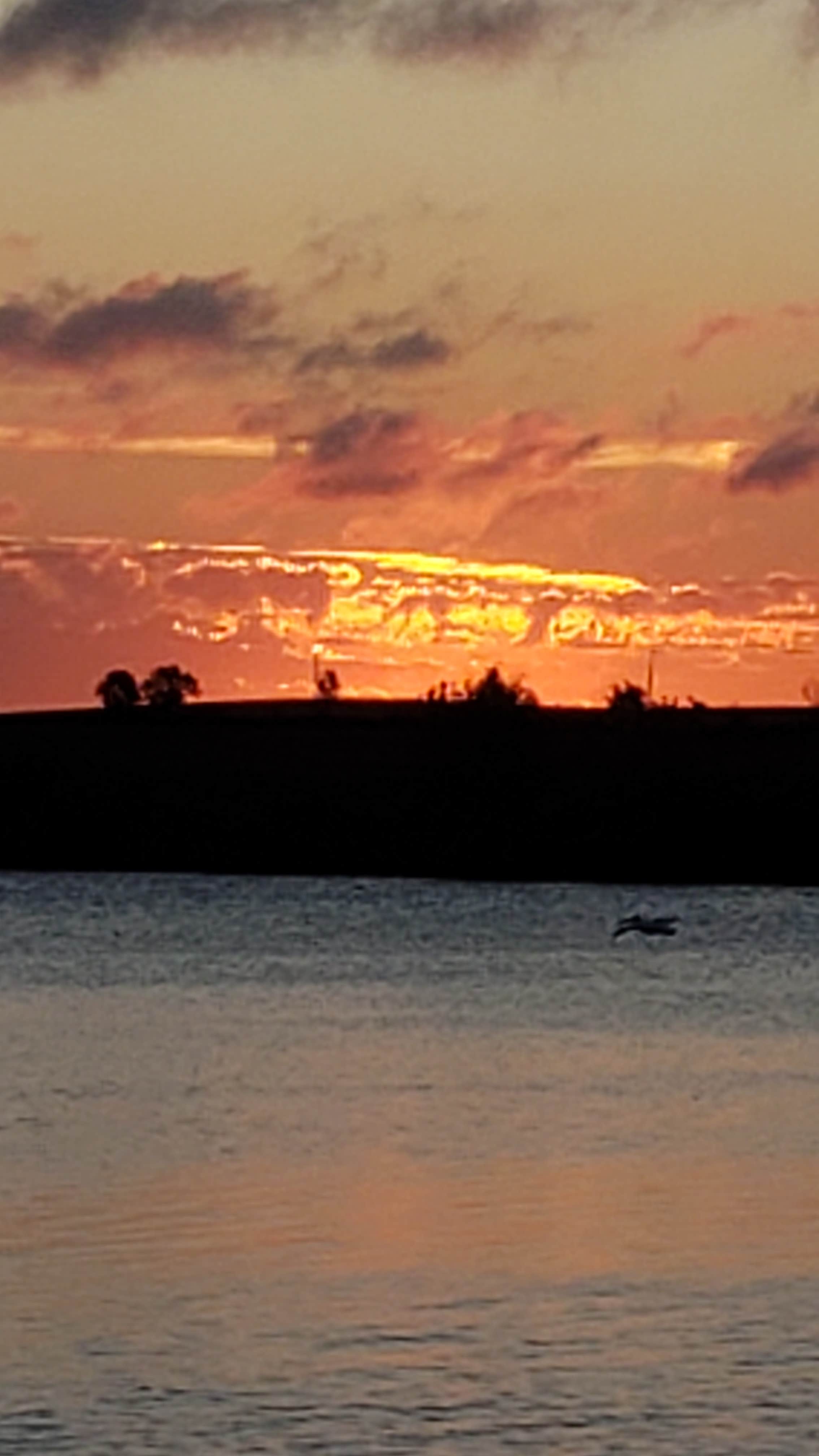 Camper submitted image from Backpacking Sites — Myre-Big Island State Park - 4