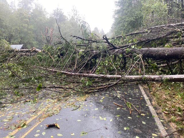 Camper-submitted photo at Firefly Coastal Bend- Corpus Christi near Corpus Christi, TX