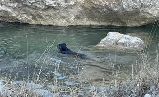 The Dyrt's photo of camping with pets at Boulderdash Cabin & RV Park near Boerne, TX