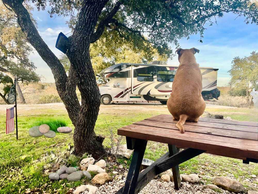The Dyrt's photo of camping with pets at Boulderdash Cabin & RV Park near Shavano Park, TX
