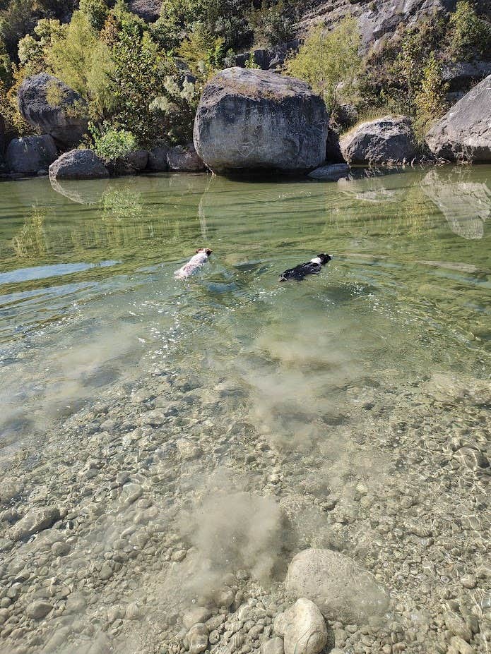 The Dyrt's photo of camping with pets at Boulderdash Cabin & RV Park near Von Ormy, TX