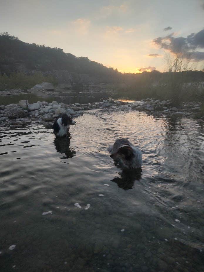 The Dyrt's photo of camping with pets at Boulderdash Cabin & RV Park near Bandera, TX