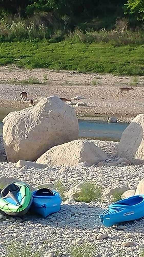 The Dyrt's photo of camping with pets at Boulderdash Cabin & RV Park near Shavano Park, TX