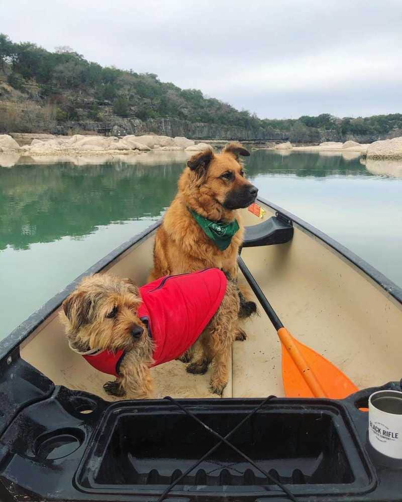 The Dyrt's photo of camping with pets at Boulderdash Cabin & RV Park near Hondo, TX