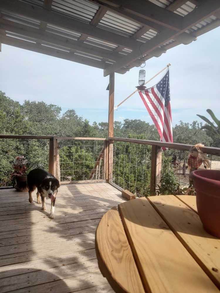 The Dyrt's photo of camping with pets at Boulderdash Cabin & RV Park near Boerne, TX