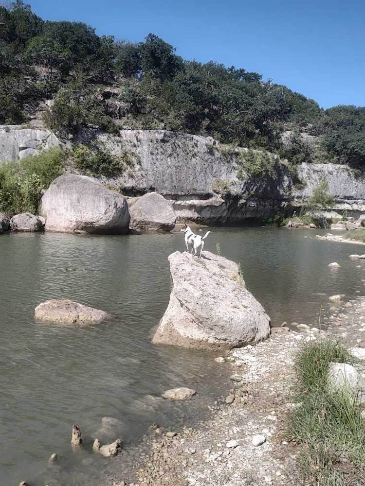 The Dyrt's photo of camping with pets at Boulderdash Cabin & RV Park near Kerrville, TX