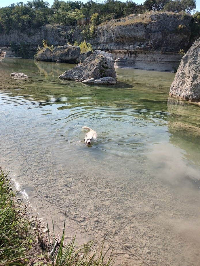The Dyrt's photo of camping with pets at Boulderdash Cabin & RV Park near Fair Oaks Ranch, TX