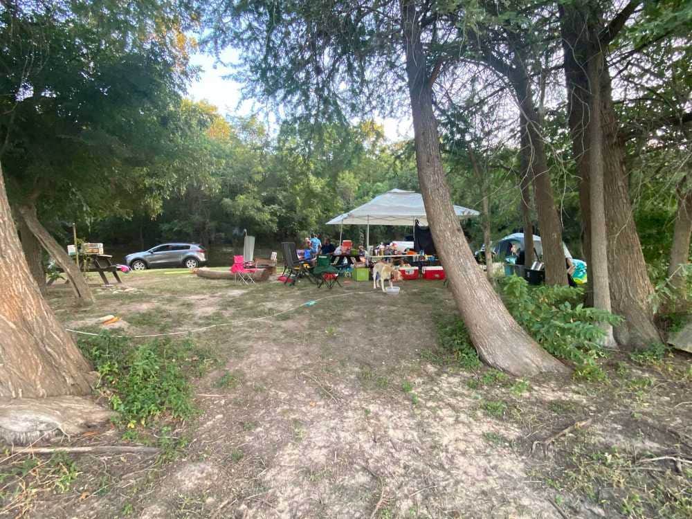 The Dyrt's photo of camping with pets at Boulderdash Cabin & RV Park near Bandera, TX