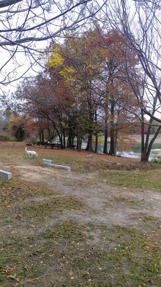 The Dyrt's photo of camping with pets at Boulderdash Cabin & RV Park near Castroville, TX