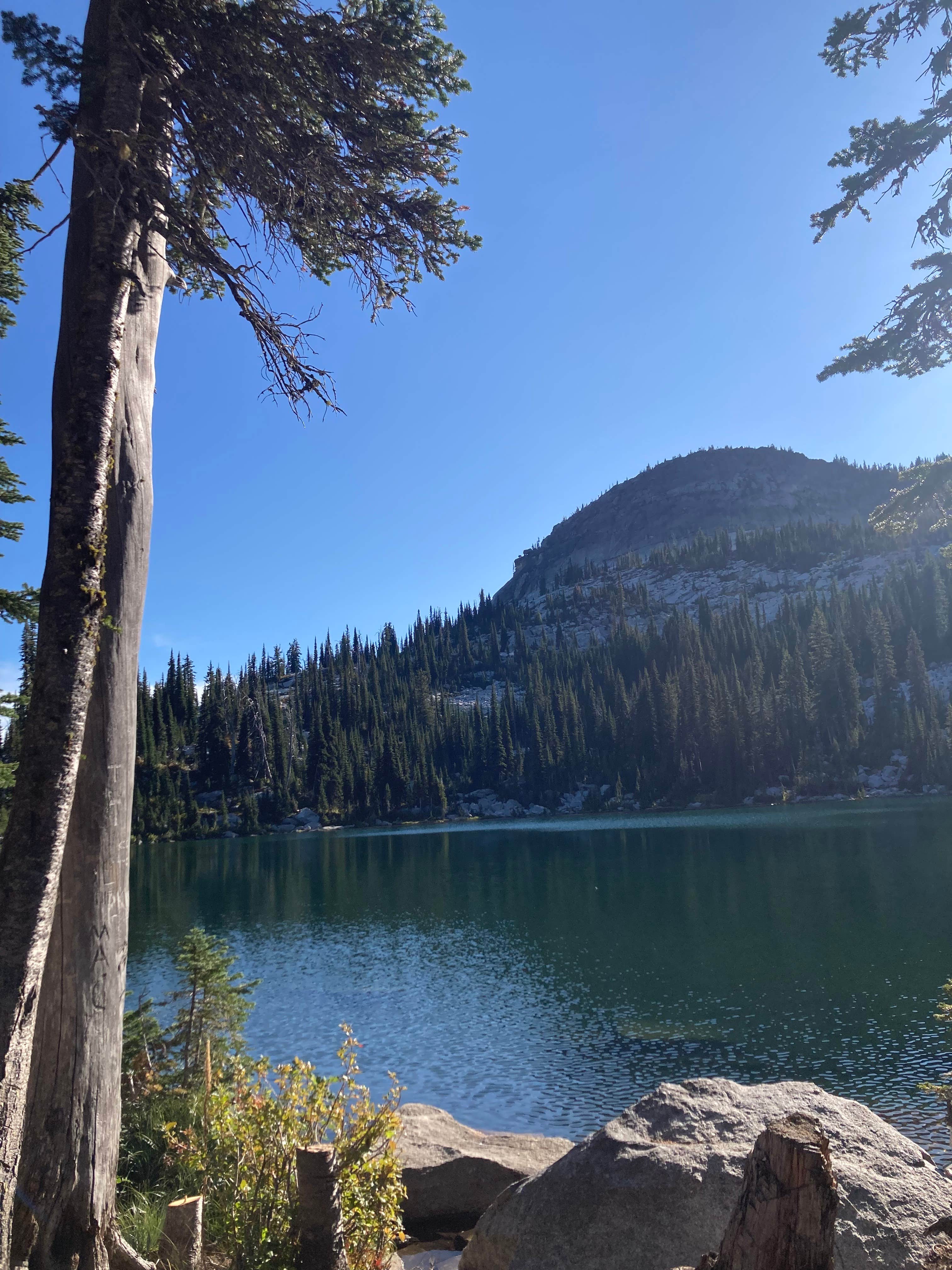 Jason S.'s photo of a dispersed camping area at Beehive Lake Dispersed near Kootenai, ID