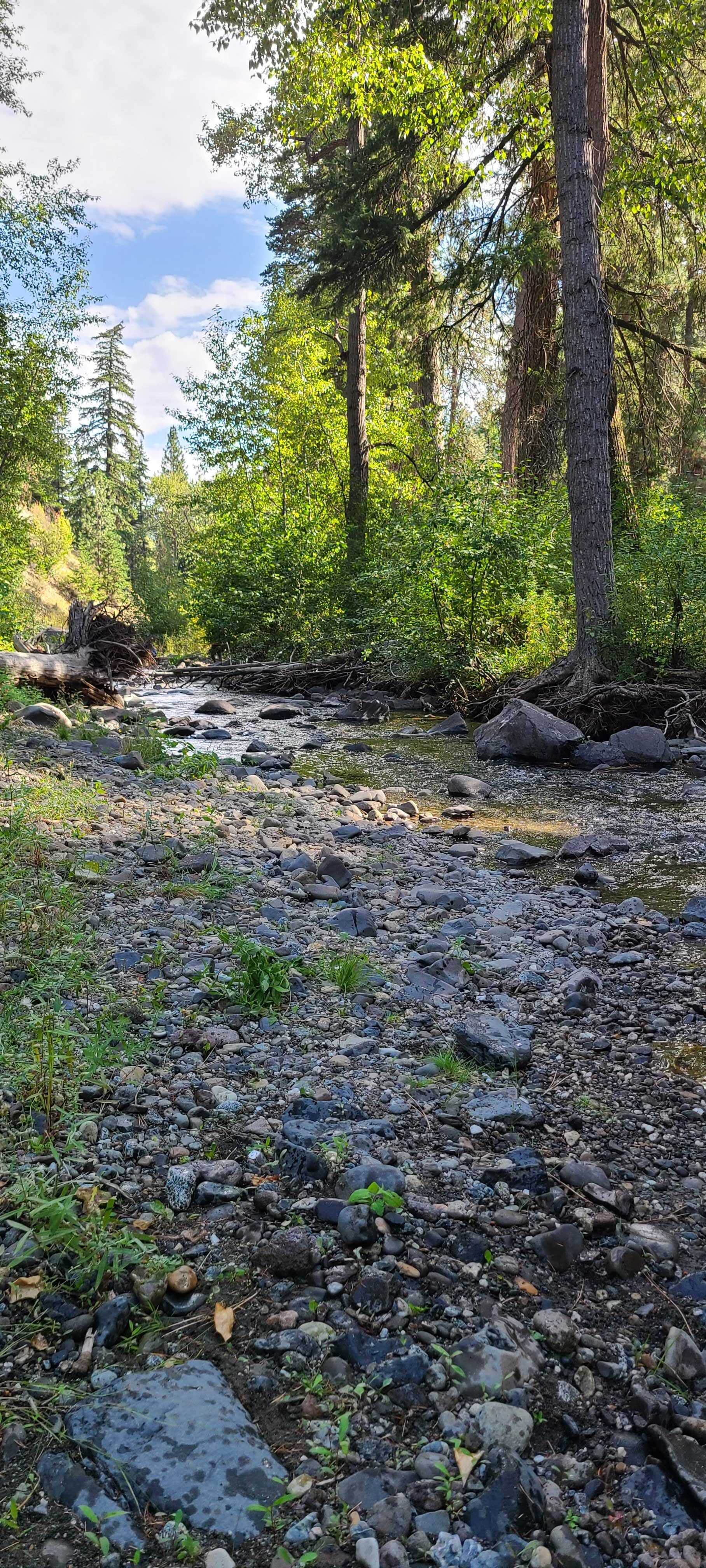Camping near First Creek Camping: Taneum Campground, South Cle Elum, Washington