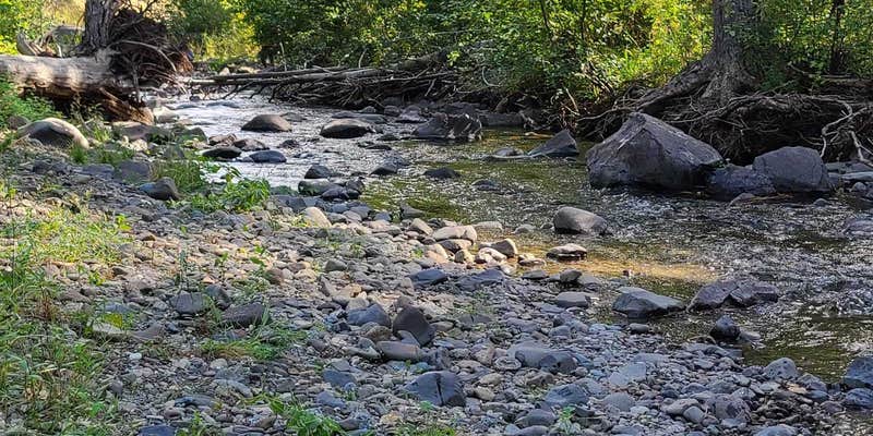 Camper submitted image from Taneum Campground