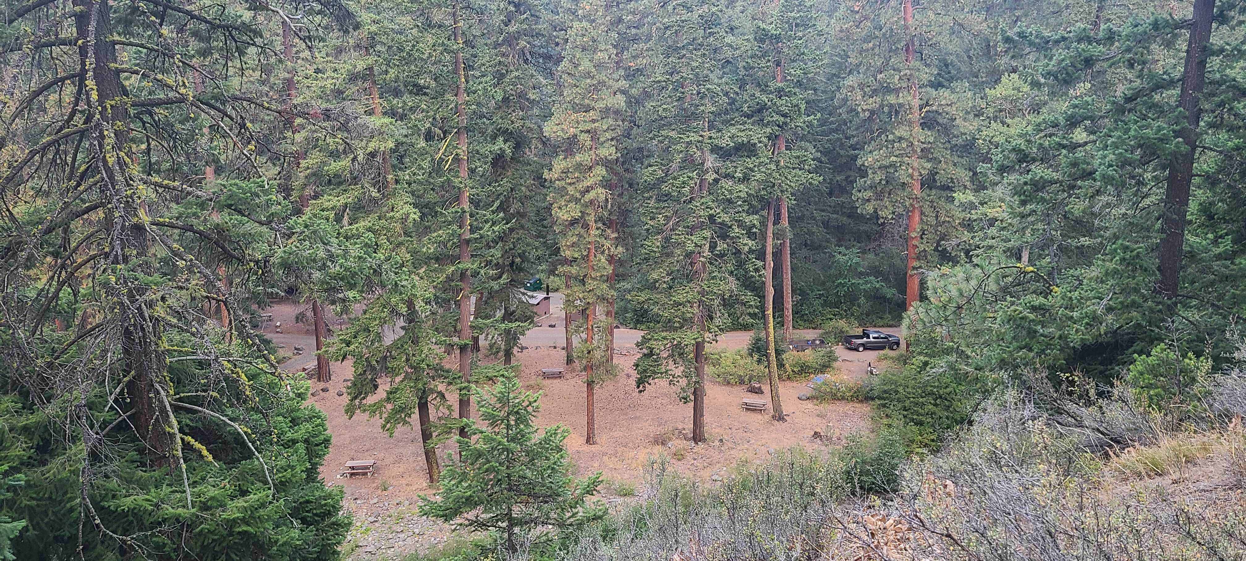 Camper submitted image from Taneum Campground - 1