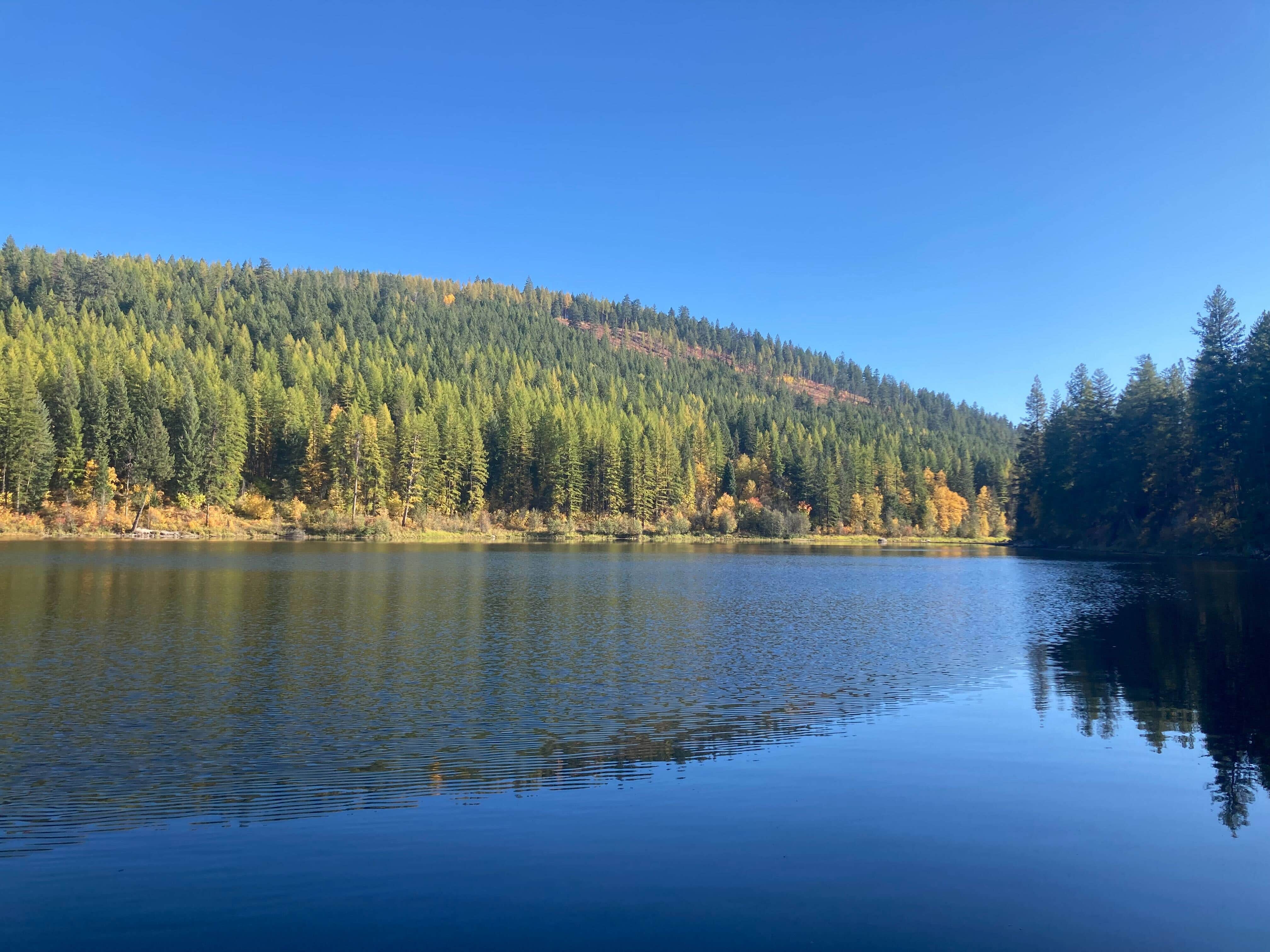 Camper-submitted photo at Brush Lake Campground near Bonners Ferry, ID