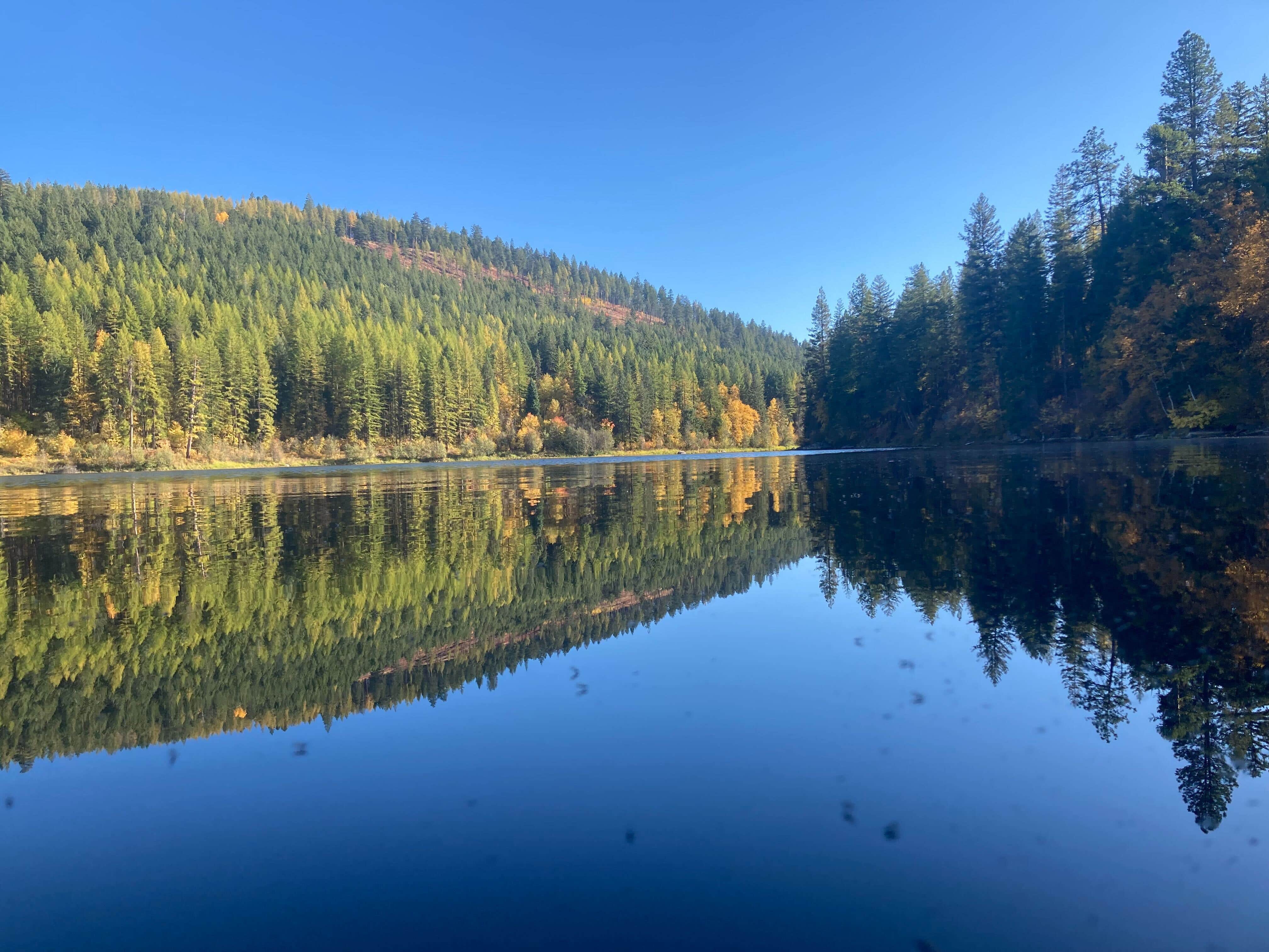 Camper-submitted photo at Brush Lake Campground near Bonners Ferry, ID