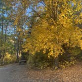 Review photo of Brush Lake Campground by Jason S., October 15, 2024