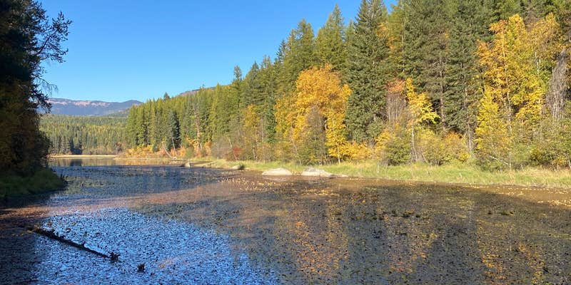 Camper submitted image from Brush Lake Campground