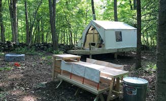 The Dyrt's photo at Downing Wood near Yorktown Heights, NY