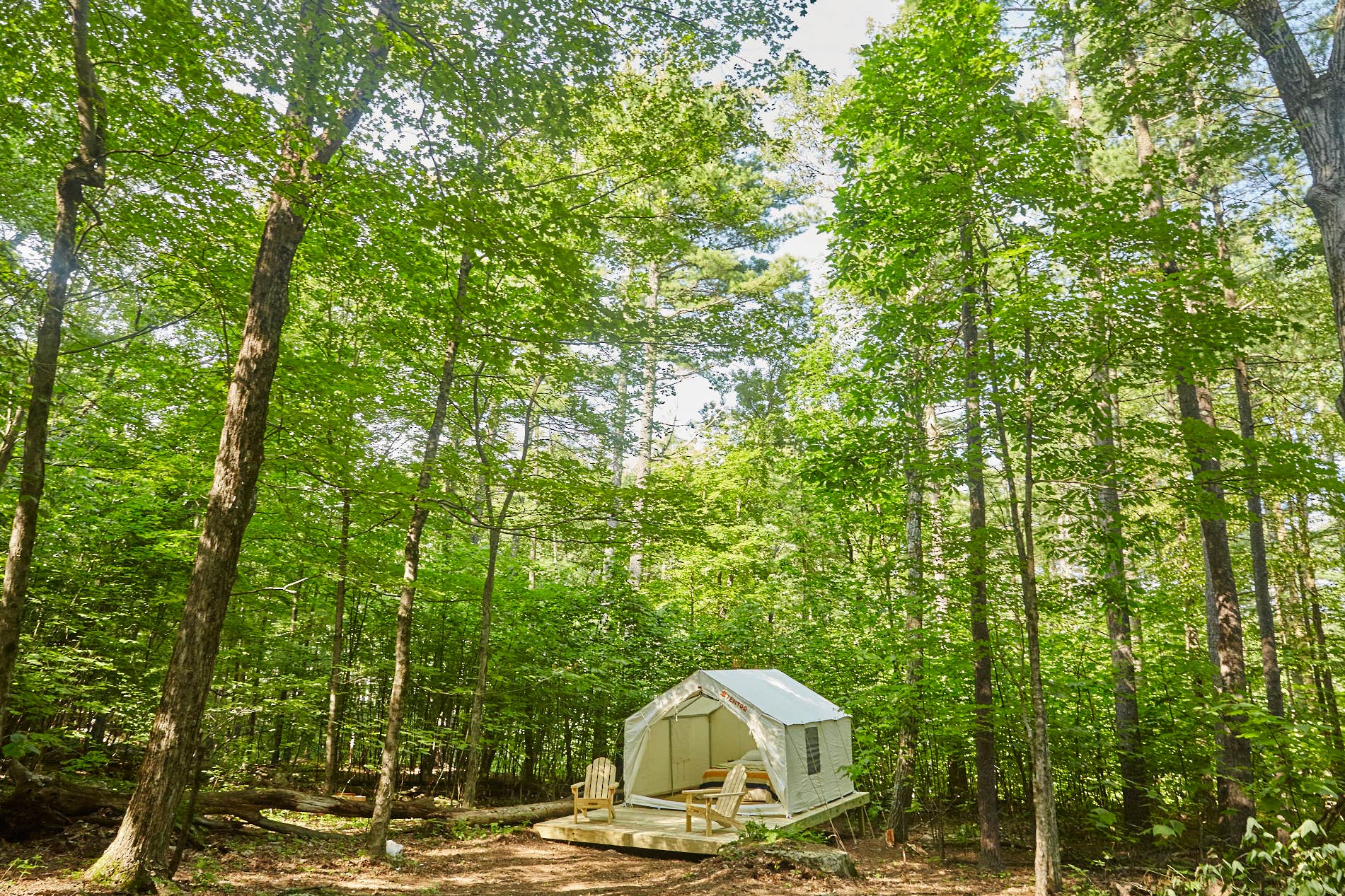 The Dyrt's photo at Abandoned Zoo: Wooded Site near Cairo, NY